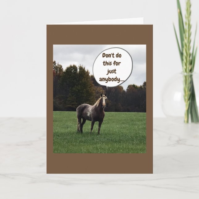 CARTE VOEUX DE NOËL DE LA PART D'UN CHEVAL SPÉCIAL (Devant)