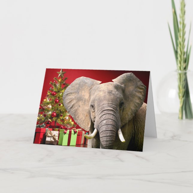 Carte Voeux de Noël éléphant (Devant)