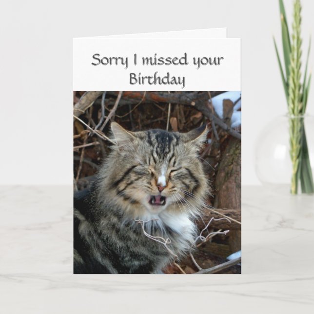 Carte Voeux photo pour chat d'anniversaire manqué (Devant)