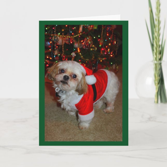 Carte Voici Père Noël Paws ! (Devant)
