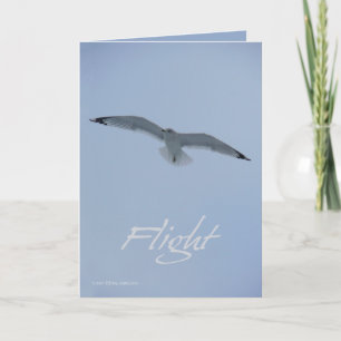 Carte Vol de mouette