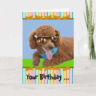 Carte Votre anniversaire est chaud avec des canicules ro