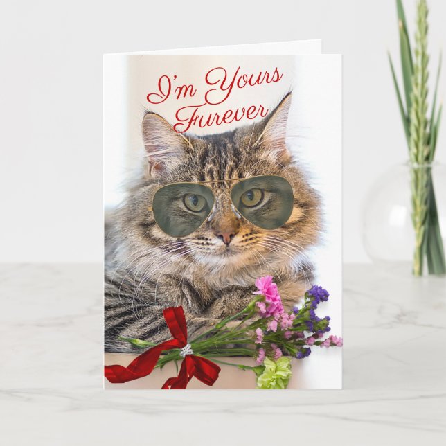 Carte Votre Furever Valentine's Day magnifique Chat (Devant)