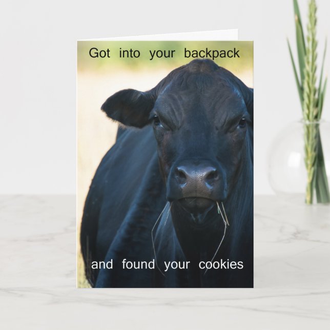 Carte Voulez les biscuits de s'more (Devant)