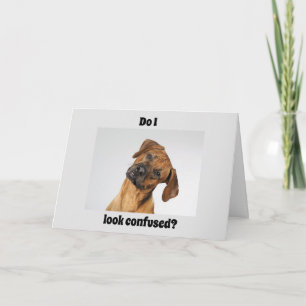 CARTE VOUS AVEZ "16" DIT UN ANNIVERSAIRE IMPORTANT!