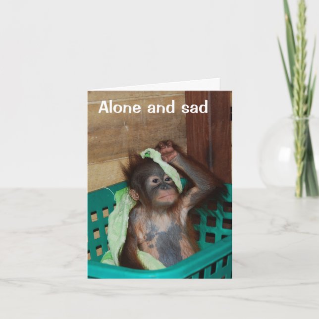 Carte Vous avez baisé et vous avez maquillé (Devant)