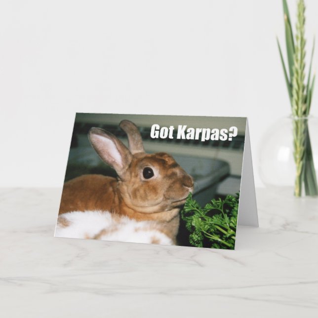 Carte Vous avez Karpas ? (Devant)