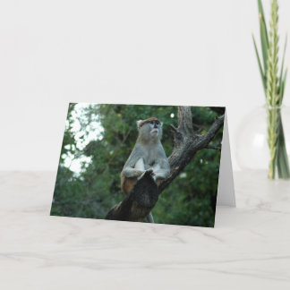 Carte Vous avez manqué