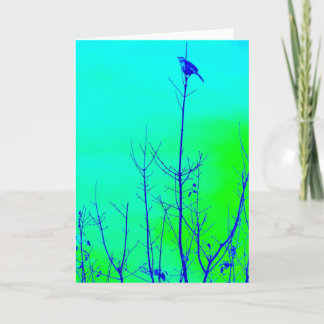 Carte Vous avez manqué