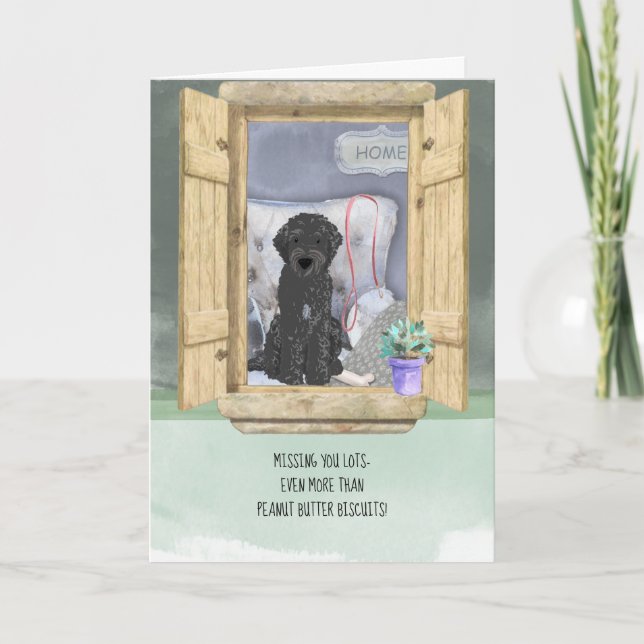 Carte Vous avez perdu Black Labradoodle Dog à la fenêtre (Devant)