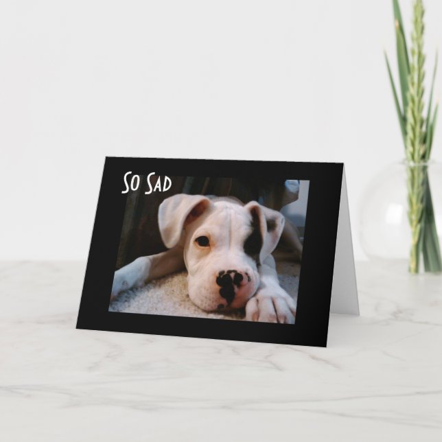 CARTE VOUS CHERCHEZ À ÊTRE "40" (Devant)