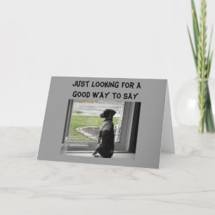 CARTE VOUS CHERCHEZ BIEN SUR LA COLLINE