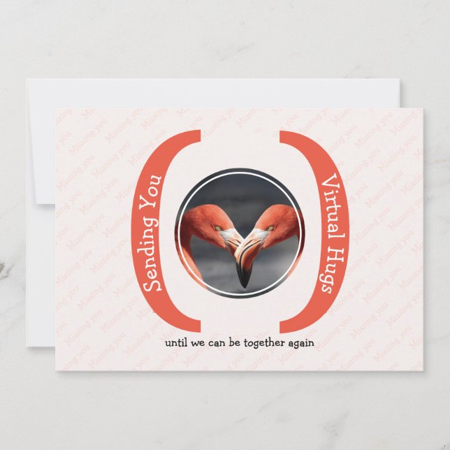 Carte VOUS ENVOYER DES HUGS VIRTUELS Photo Vous Manquant (Devant)