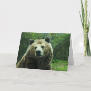 Carte Vous envoyer un gros ours serrer le grizzli