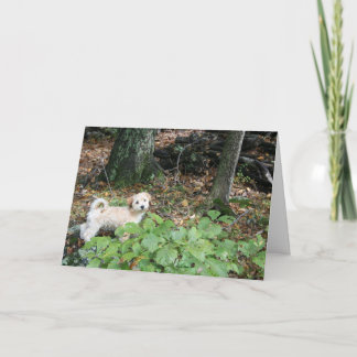 Carte Vous êtes anniversaire, mon cadeau