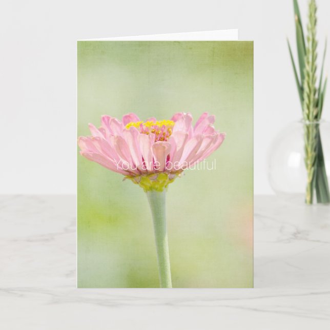 Carte Vous êtes Belle fleur de Zinnia (Devant)