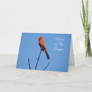 Carte Vous êtes dans Mes Prières   Photographie cardinal