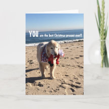 Vous êtes le meilleur cadeau de Noël qui soit -