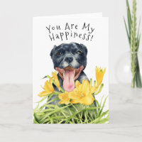 Vous Êtes Mon Bonheur | Pit Bull Dog Anniversaire