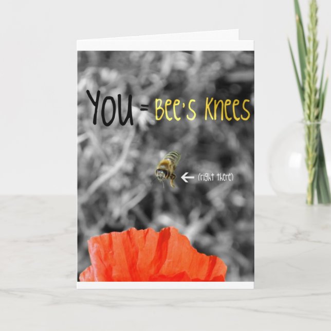 Carte Vous = genoux d'abeille (Devant)