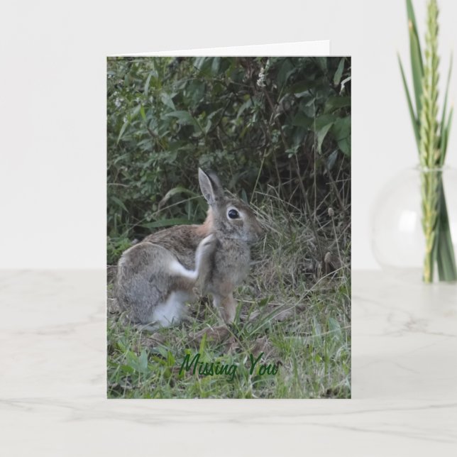 Carte Vous/lapin manquant (Devant)