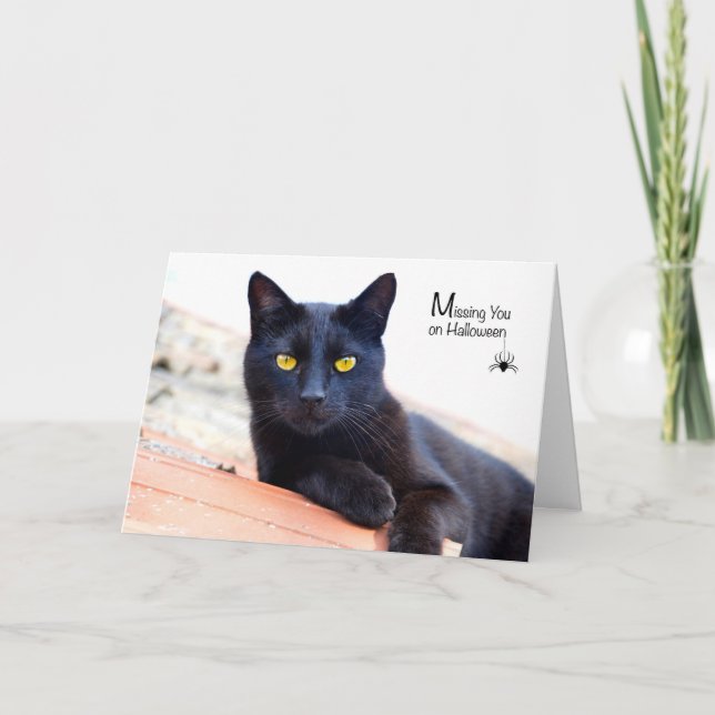 Carte Vous manquer Halloween, chat noir avec l'araignée (Devant)