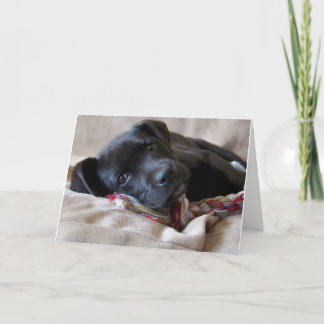 Carte Vous Manquez !