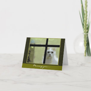Carte Vous manquez - Chat à la fenêtre