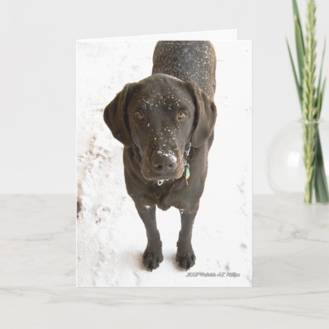 Carte Vous manquez Chocolat Labrador Chien photo (Devant)