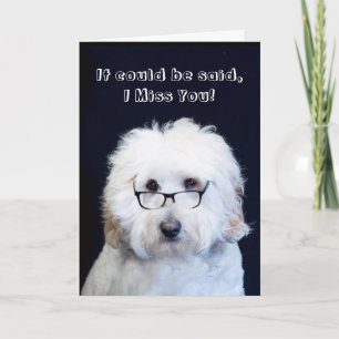 CARTE VOUS MANQUEZ - HUMOUR AVEC CHIEN/VERRE NOIR-RIM