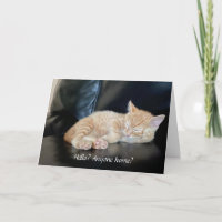 Vous manquez mignonne Orange Kitten Card N'importe