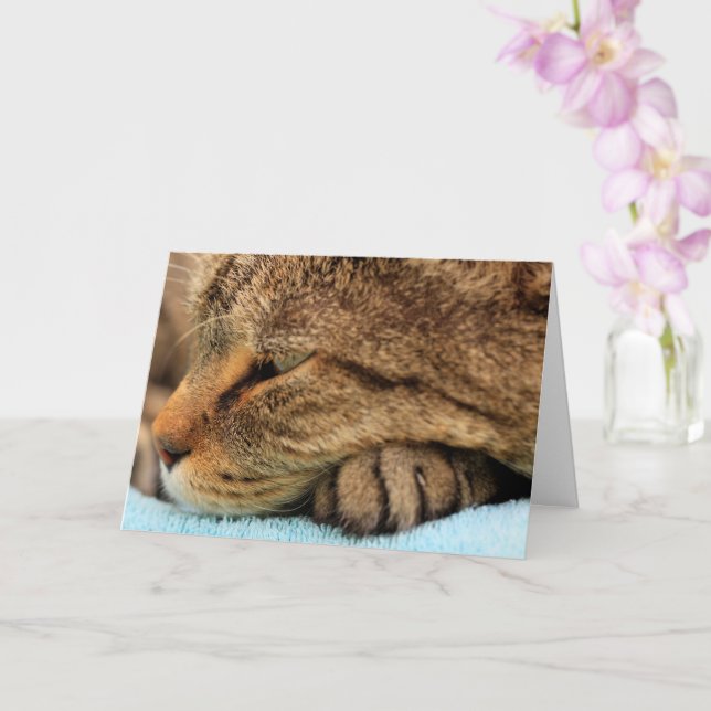 Carte Vous Manquez Vraiment Chat (Orchidée)