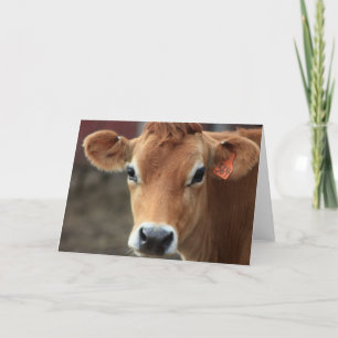 Carte Vous ne me pensez pas suis jolie vache du Jersey