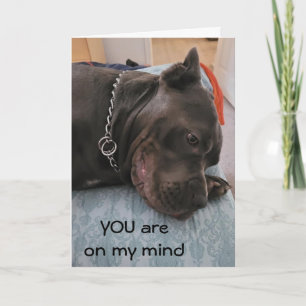 CARTE VOUS NE POUVEZ PAS DORMIR ET VOUS MANQUER TROP DE 