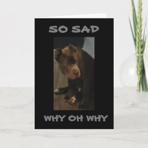 CARTE * VOUS NE POUVEZ PAS VOUS DÉPLACER JE "VOUS MANQUE