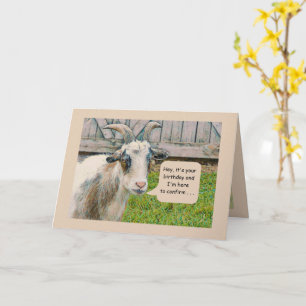 Carte "Vous n'êtes pas encore une vieille chèvre"/Joyeux