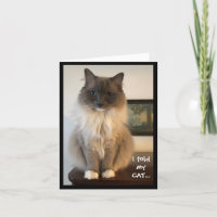 Vous n'êtes pas mon patron, dit qui