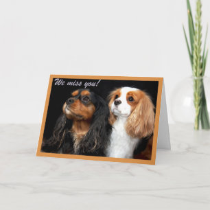 Carte Vous nous manquez Cavalier King Charles Spaniel Ca