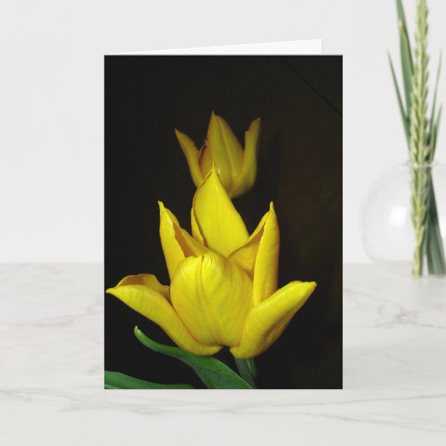 Carte Vous occuper ! (Devant)