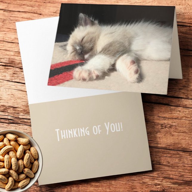 Carte Vous pensant Vous Endormir Photographie de Chat Si (Folding greeting card cover and inside template text )