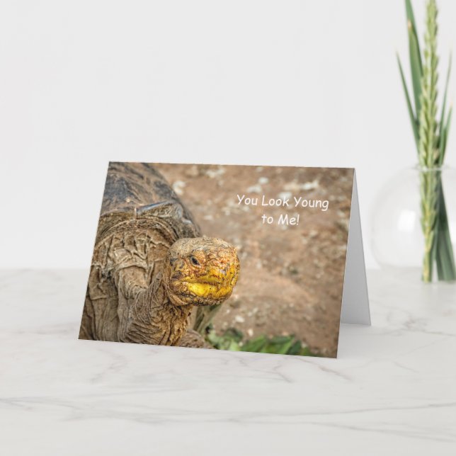 Carte Vous semblez jeunes à moi ! Anniversaire de tortue (Devant)