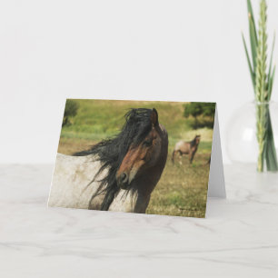 Carte Voyez la beauté