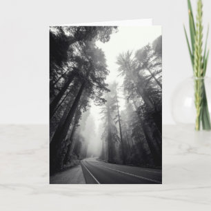 Carte Vue des arbres de séquoia dans la forêt