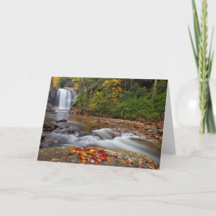 Carte Vue Glass Falls Pisgah Forêt nationale