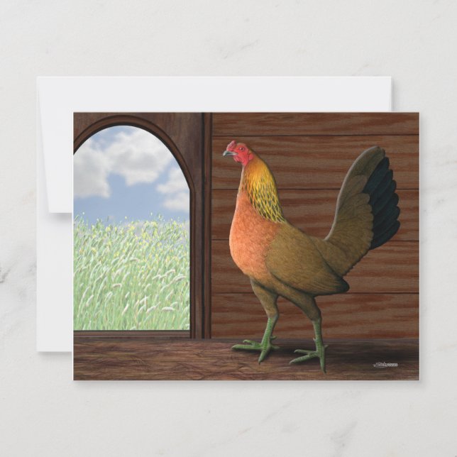 Carte Vue serre (Devant)