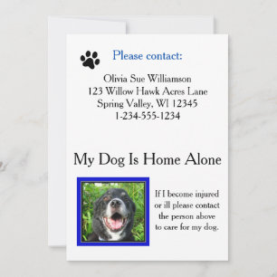 Carte Wallet de soins pour animaux de compagnie (c