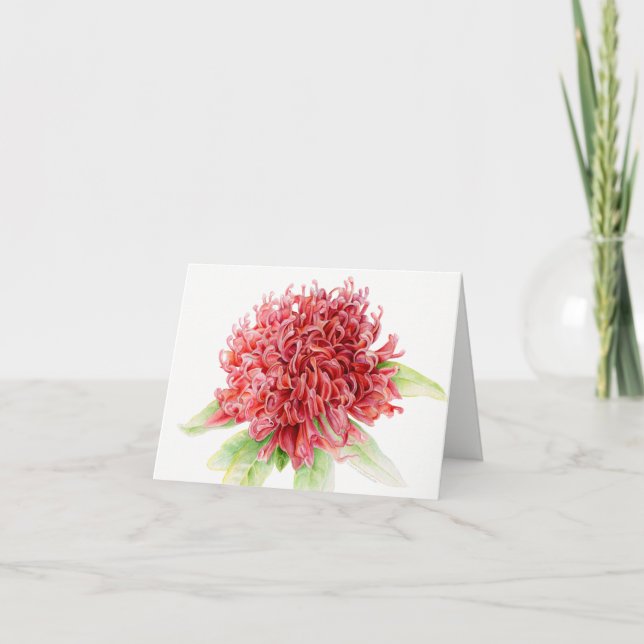 Carte Waratah rouge floral aquarelle art merci (Devant)