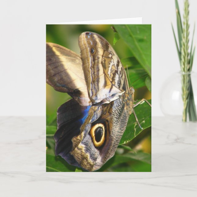 Carte Watcher (Devant)