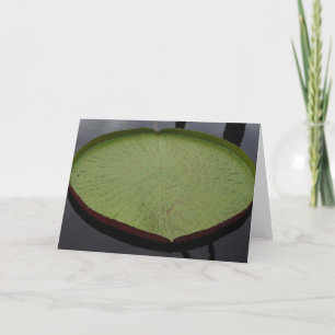 Carte Water Lilly Leaf Note Card