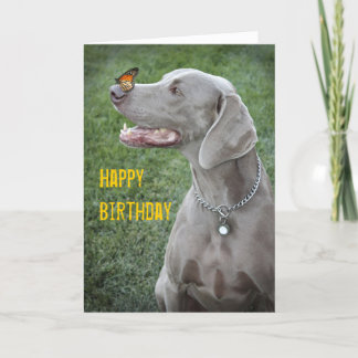 Carte Weimaraner & Papillon